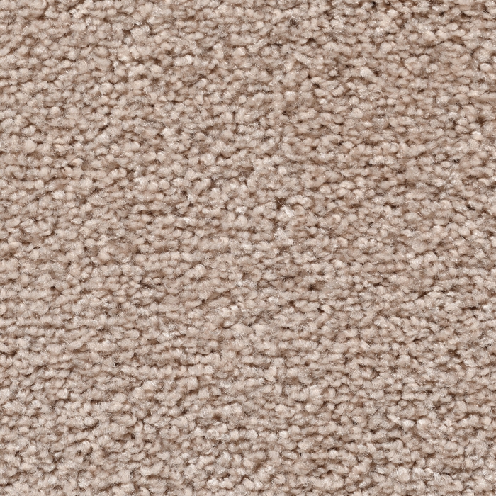 Frisé - Modesta - 001